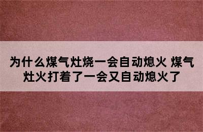 为什么煤气灶烧一会自动熄火 煤气灶火打着了一会又自动熄火了